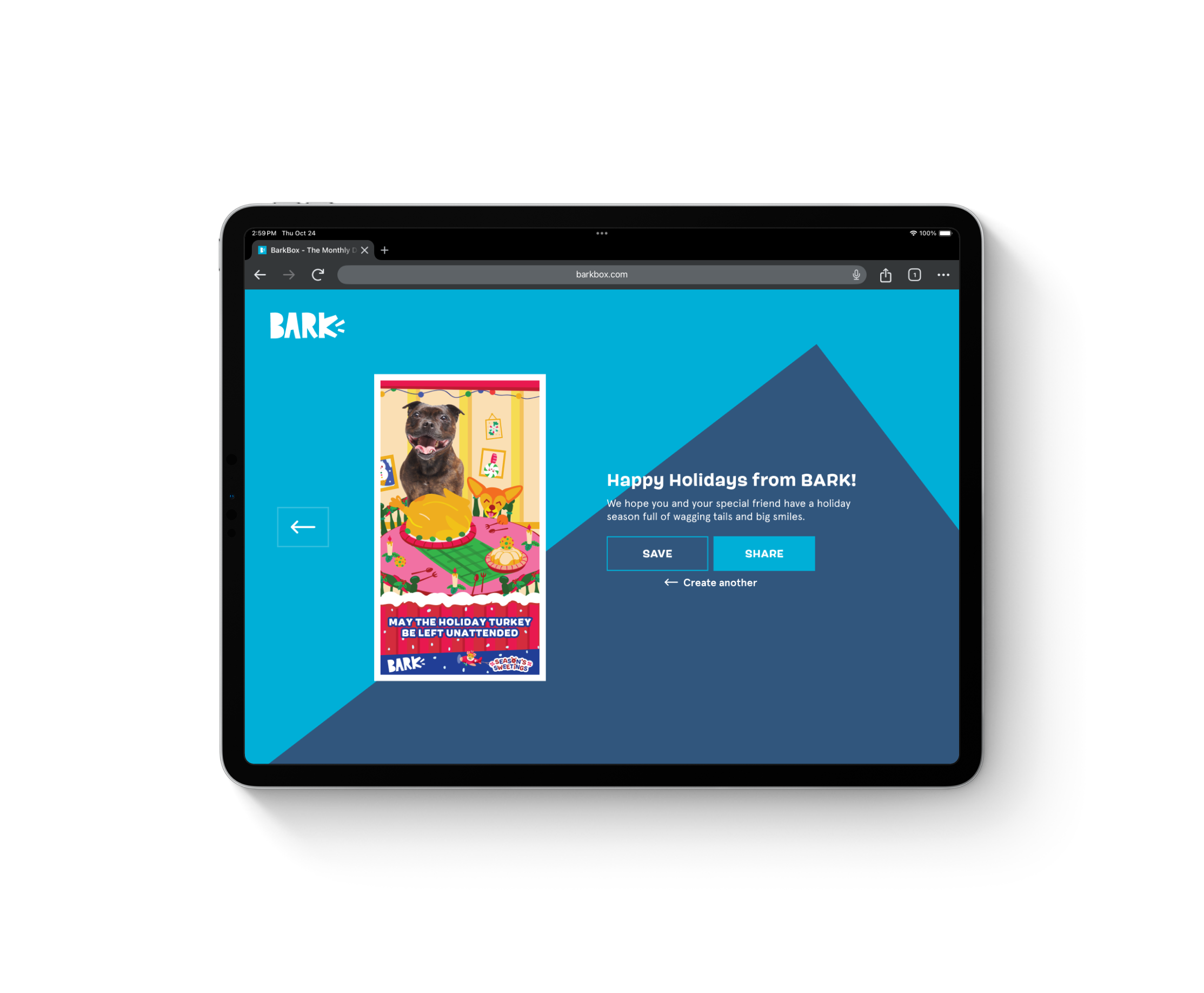 iPad Screen-6
